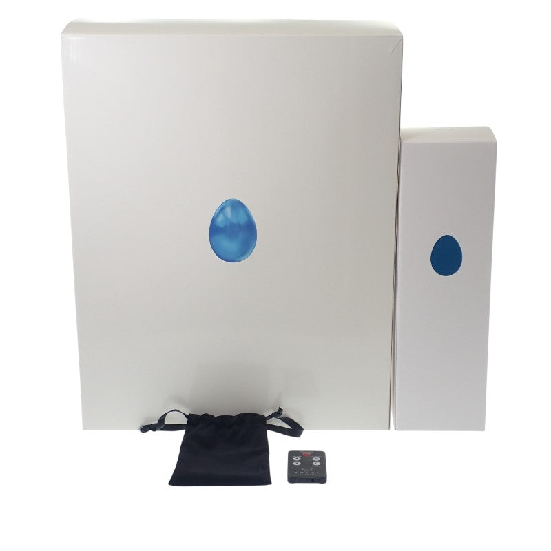 ANGEL CHAMPAGNE エンジェル ヴィンテージ 2008 ブルーエッグ お酒 アルコール 750ml 12.5% シャンパン【中古】【Sランク】