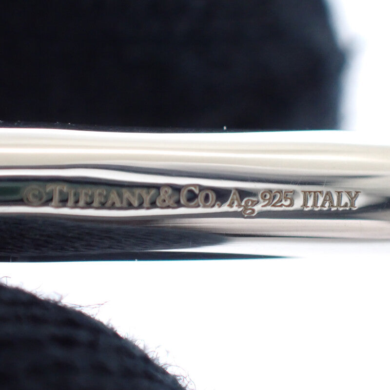 Tiffany & Co. 蒂芙尼 Extra Large Link 60013153 耳環 純銀 女士【二手】【A級】
