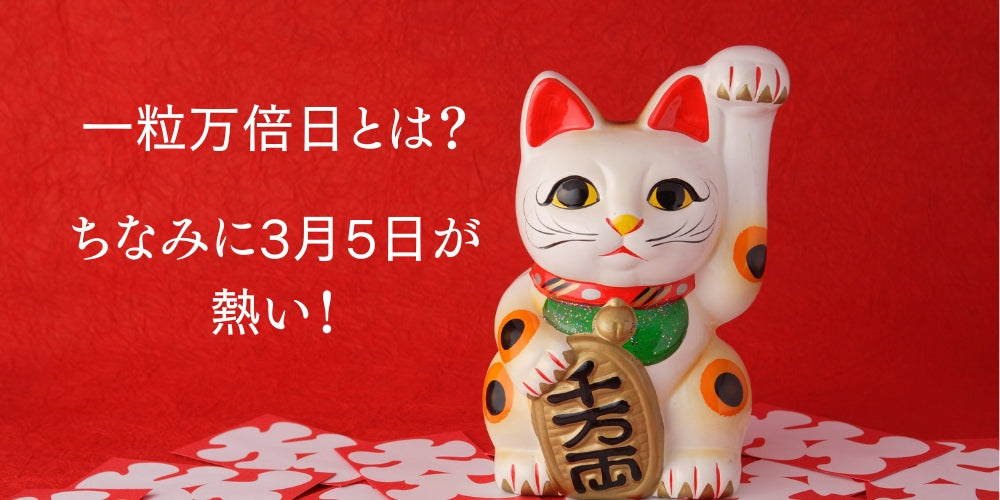 【2026年の最強開運日は】一粒万倍日って？【3月5日】