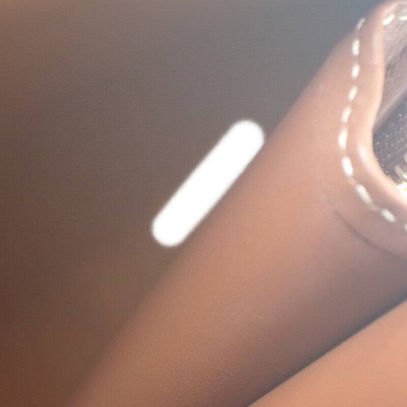 セリーヌ CELINE チェーン付きクラッチキュイル 10E383DR8.04LU ショルダーバッグ カーフ タン ゴールド金具 レディース【中古】【Aランク】